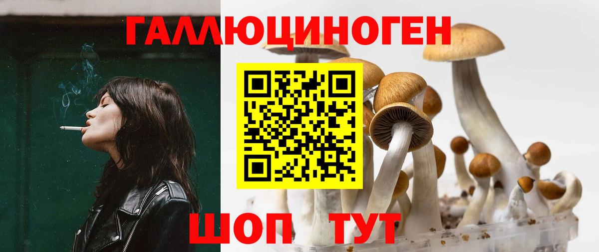 Псилоцибиновые грибы Magic Shrooms  Псилоцибиновые грибы прущие грибы  Вязьма  Вход с VPN 